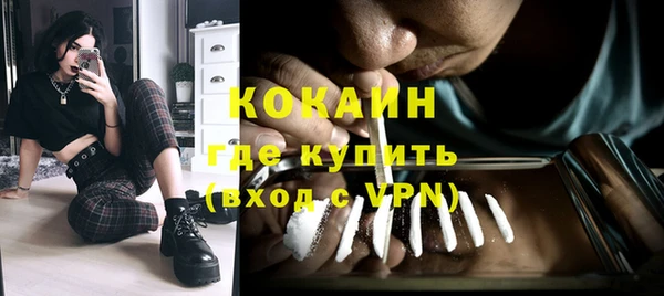 ПСИЛОЦИБИНОВЫЕ ГРИБЫ Богданович