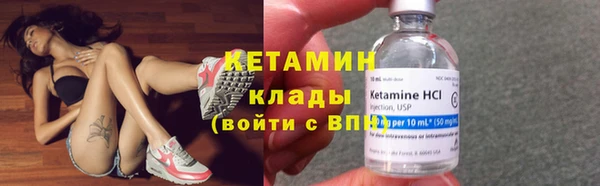 ПСИЛОЦИБИНОВЫЕ ГРИБЫ Богданович