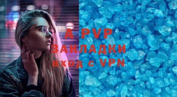 ПСИЛОЦИБИНОВЫЕ ГРИБЫ Богданович
