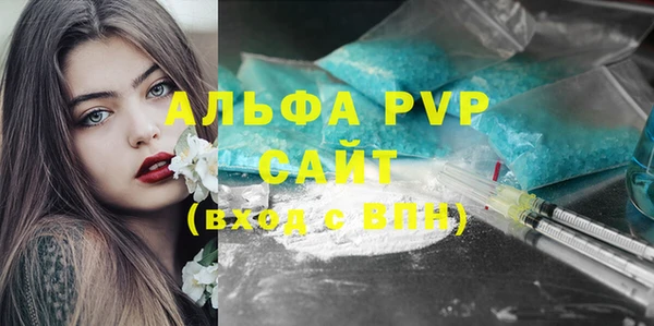 хмурый Каменка