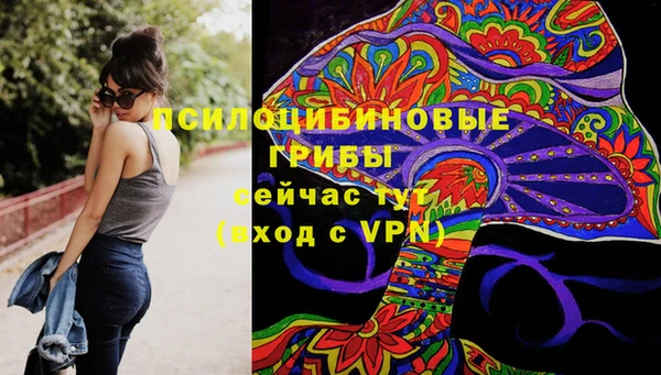 jwh Богородицк