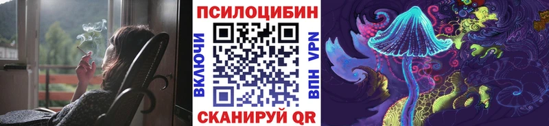 даркнет сайт  Кимовск  Псилоцибиновые грибы мухоморы 